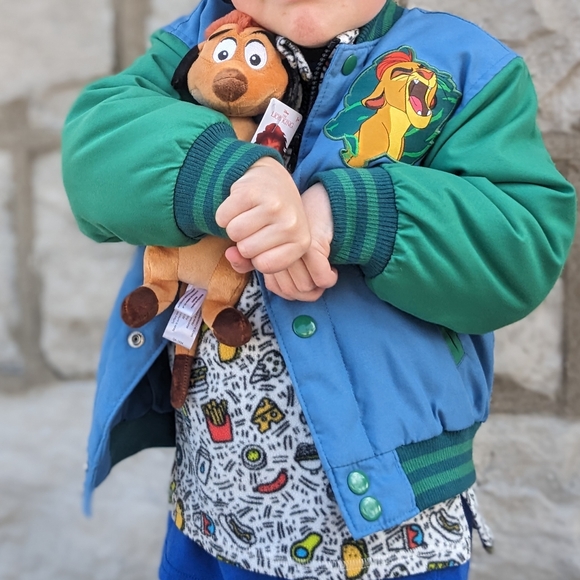 Disney Lion Kings Tamone plush & Lion Guard jacket - Picture 2 of 6